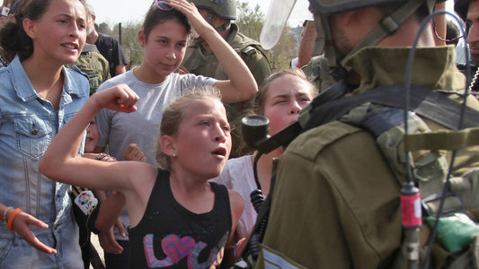 ahed tamimi punching soldier